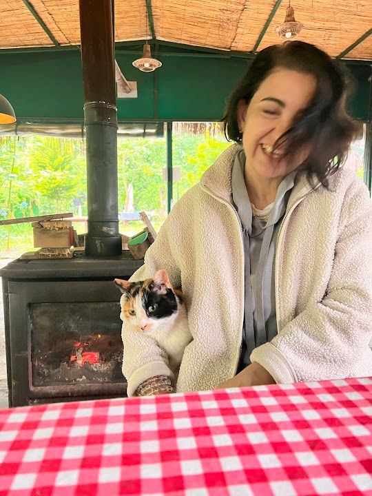 Fotoğraf 22