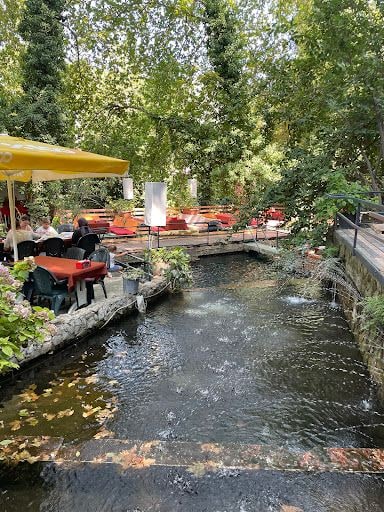 Yorum fotoğrafı 7