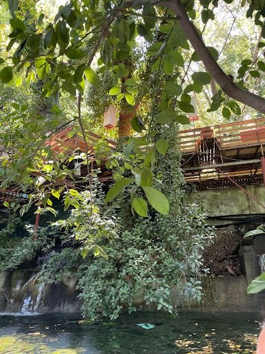 Yorum fotoğrafı 8