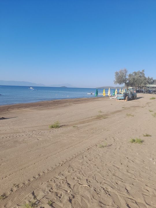 Yorum fotoğrafı 1