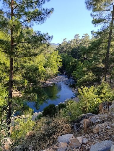 Yorum fotoğrafı 3