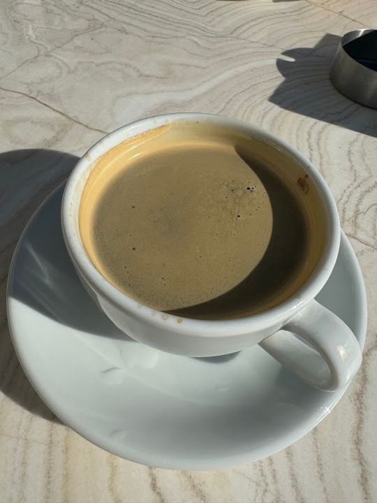 Fotoğraf 13
