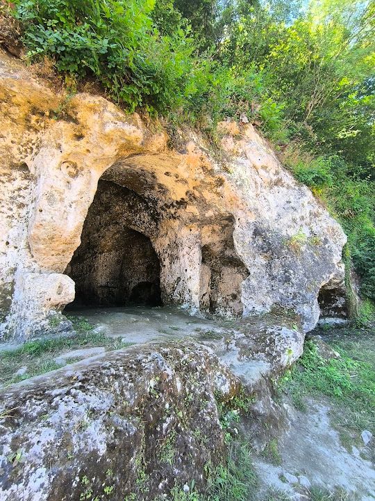 Yorum fotoğrafı 4
