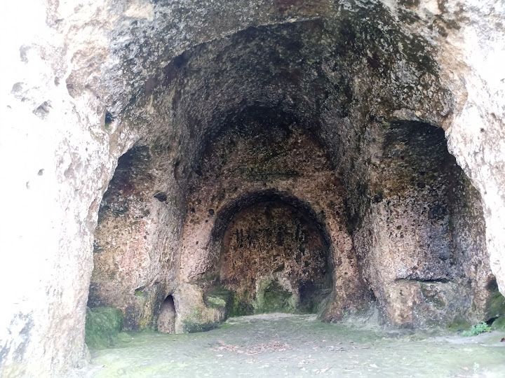 Yorum fotoğrafı 17