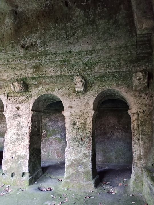 Yorum fotoğrafı 8