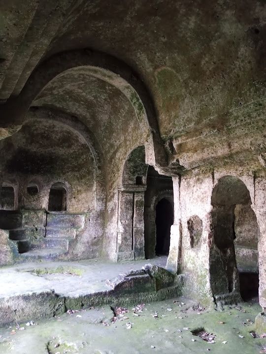 Yorum fotoğrafı 9