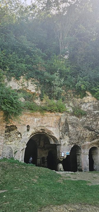 Yorum fotoğrafı 9