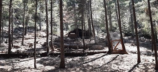 Yorum fotoğrafı 4