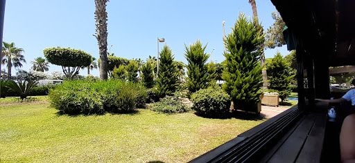 Yorum fotoğrafı 6
