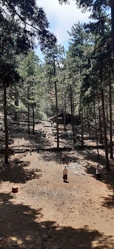 Yorum fotoğrafı 8