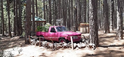 Yorum fotoğrafı 9
