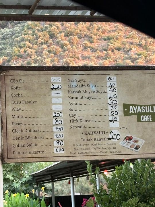 Fotoğraf 12