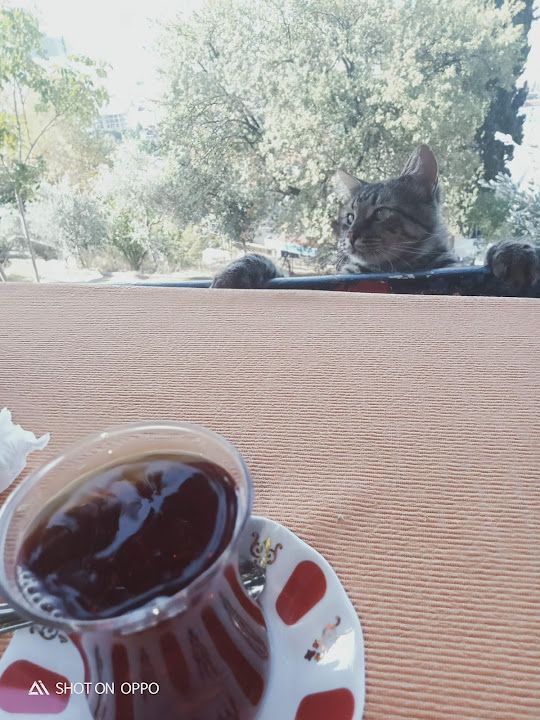 Fotoğraf 24