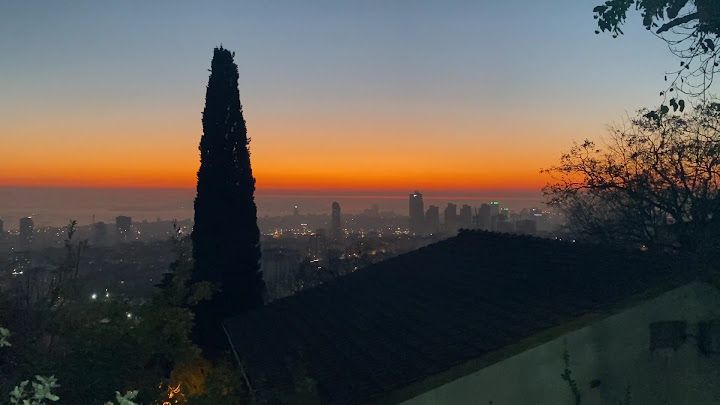 Fotoğraf 28