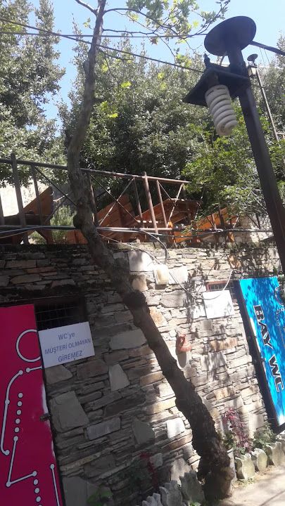 Fotoğraf 37