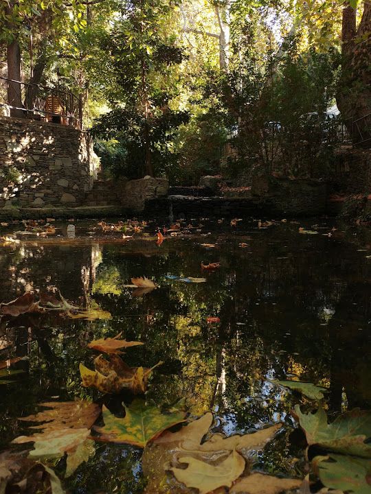 Yorum fotoğrafı 4