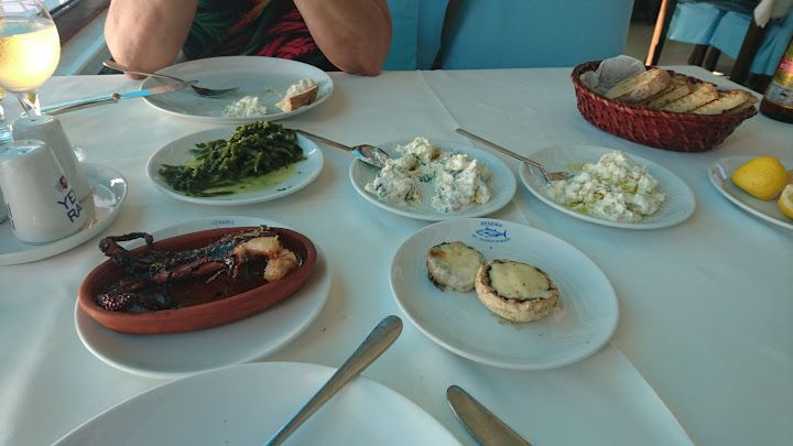 Fotoğraf 31