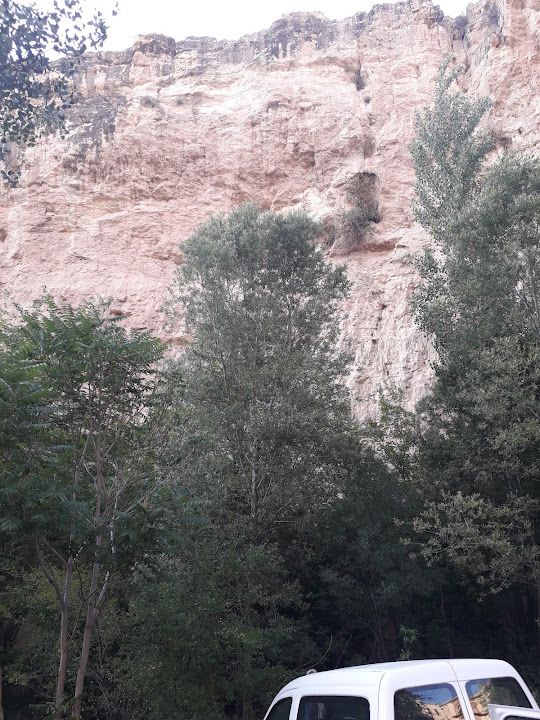Yorum fotoğrafı 3
