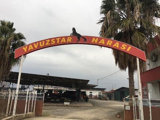Fotoğraf 22