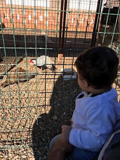 Fotoğraf 27