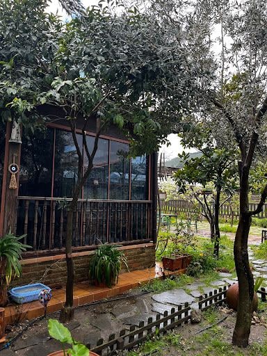 Fotoğraf 19