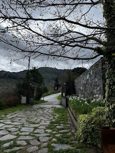 Fotoğraf 23
