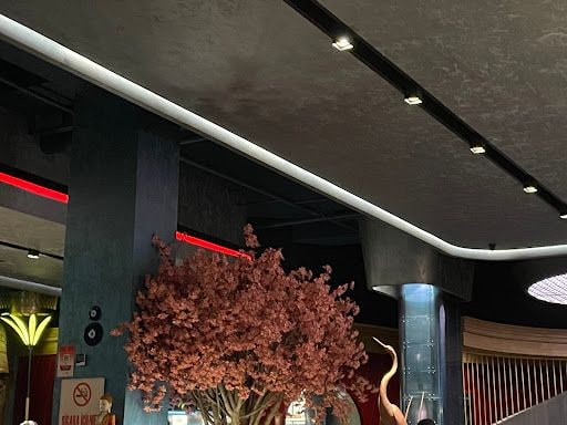 Yorum fotoğrafı 5