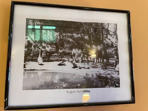 Yorum fotoğrafı 8