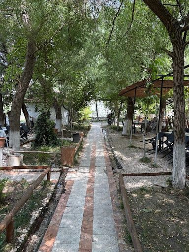 Yorum fotoğrafı 8