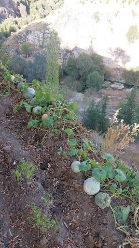 Yorum fotoğrafı 6