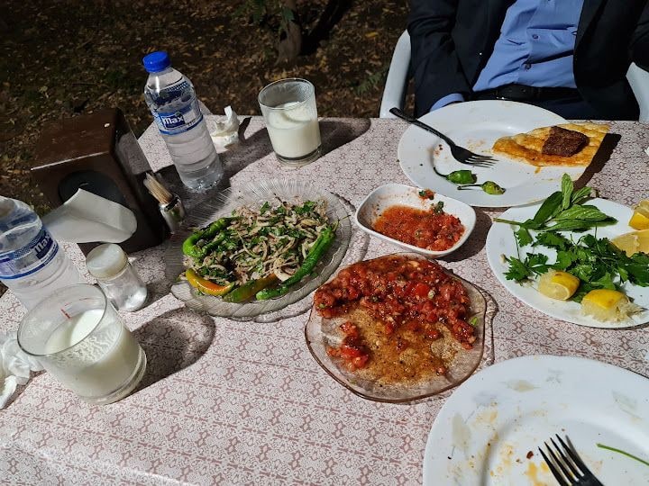 Fotoğraf 13