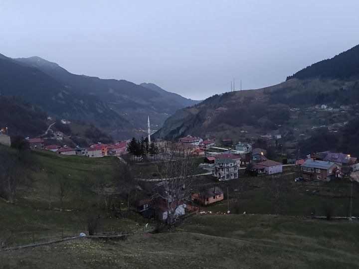 Yorum fotoğrafı 3