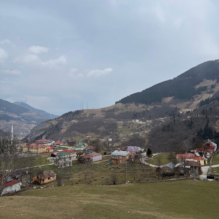 Yorum fotoğrafı 4