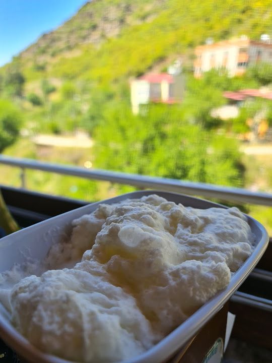Fotoğraf 42