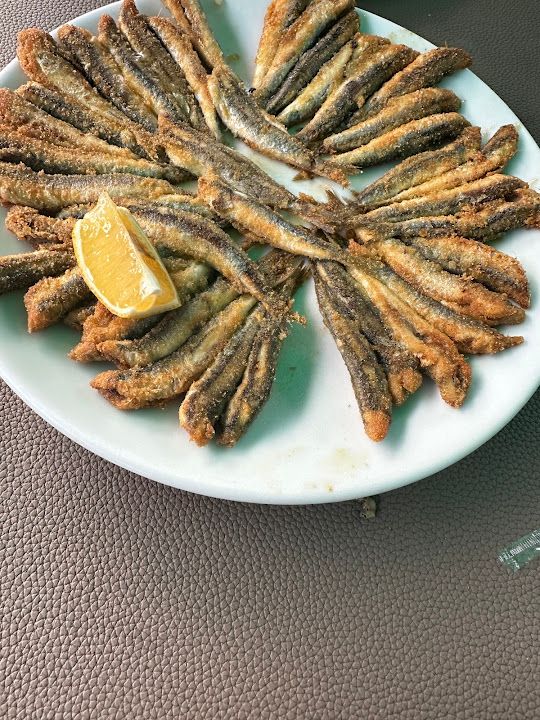 Fotoğraf 21