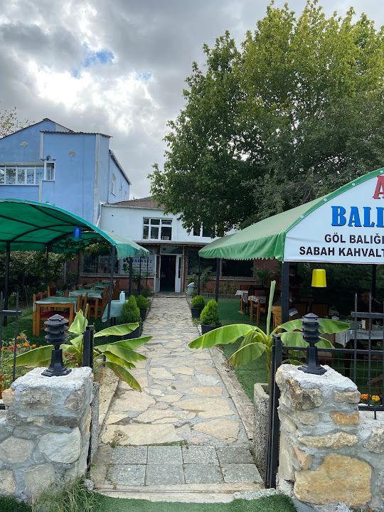 Fotoğraf 14