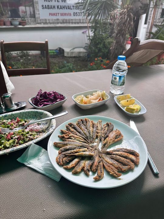 Fotoğraf 13