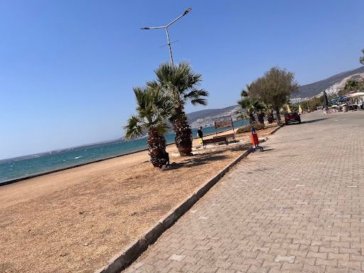 Fotoğraf 30