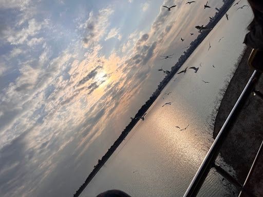 Yorum fotoğrafı 10