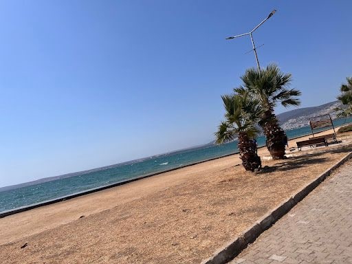 Fotoğraf 22