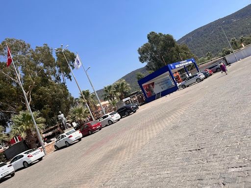 Fotoğraf 25