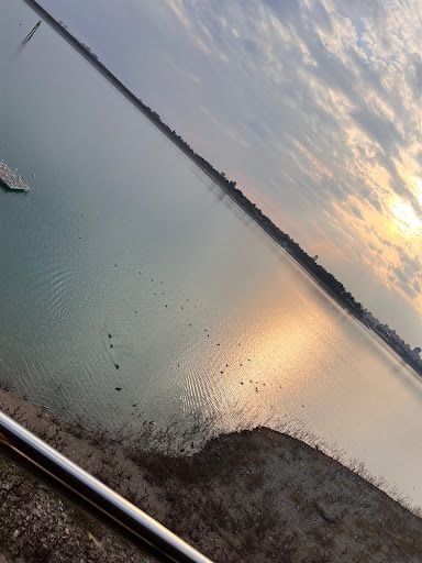 Yorum fotoğrafı 5
