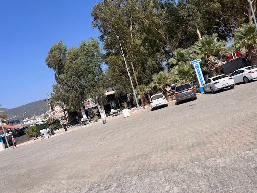 Fotoğraf 28
