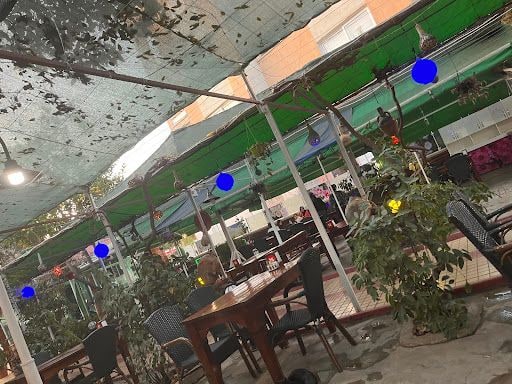 Yorum fotoğrafı 8