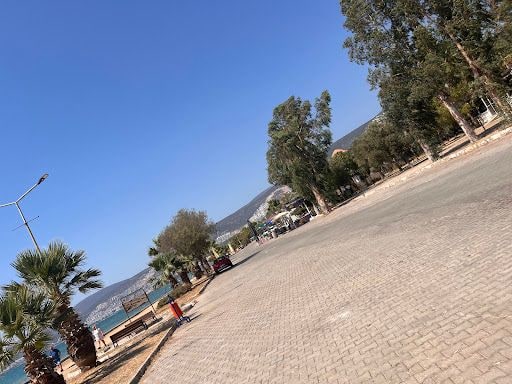 Fotoğraf 29
