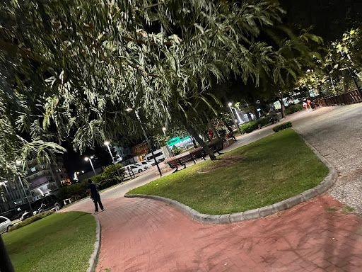 Yorum fotoğrafı 9