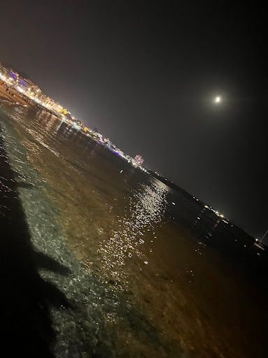 Fotoğraf 23