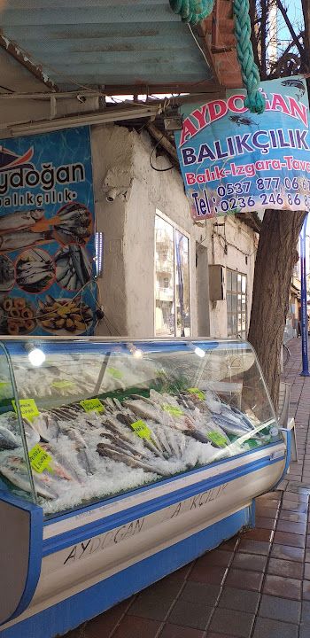Fotoğraf 13