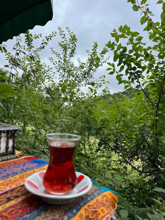 Fotoğraf 38