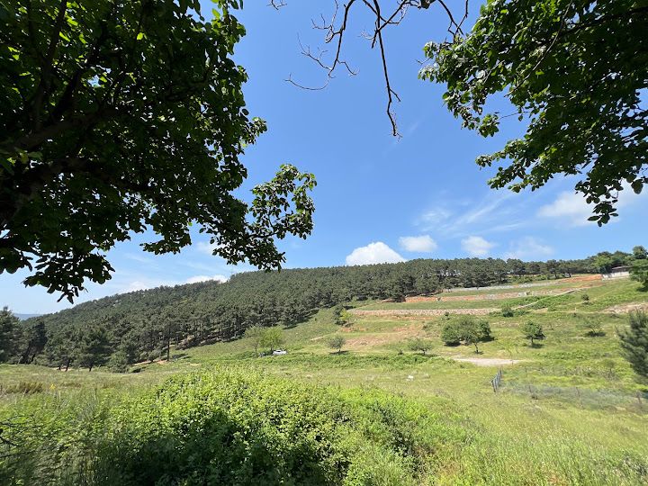 Fotoğraf 26